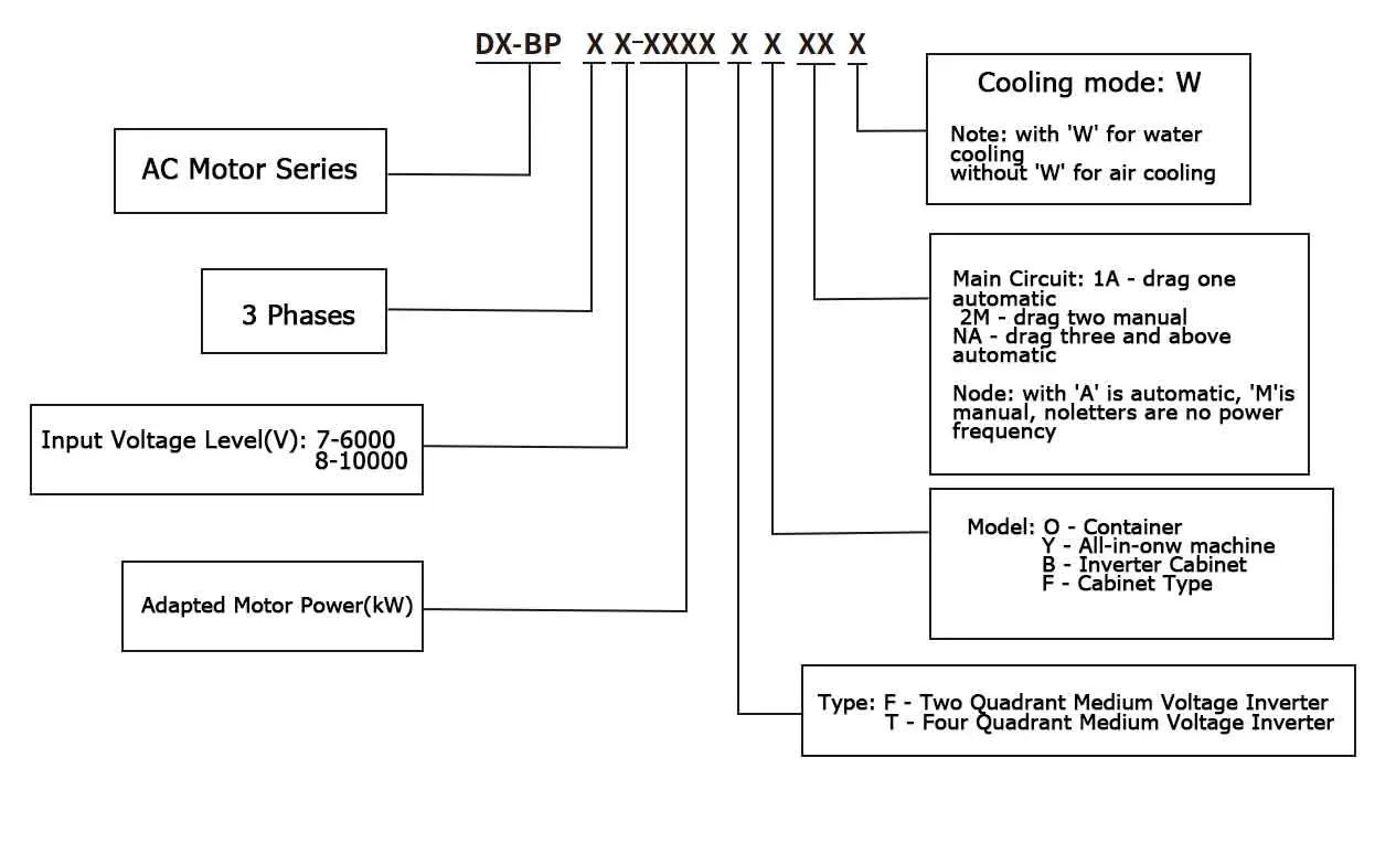 DX-BP-Model